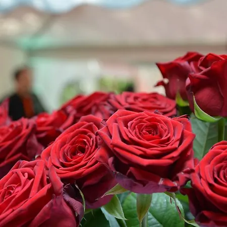 Kalenborner Hoehe 3* Kalenborn