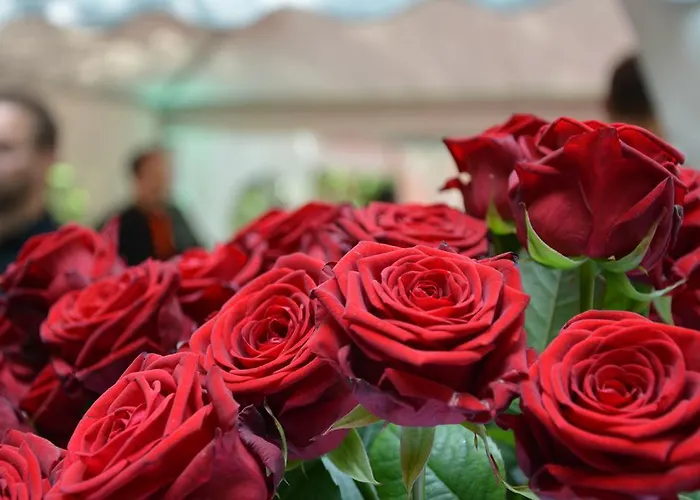 Kalenborner Hoehe 3* Kalenborn